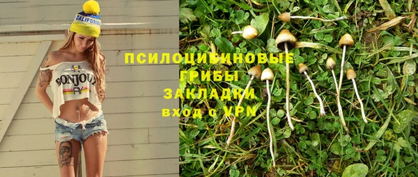 прущие грибы Балахна