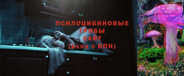 прущие грибы Балахна