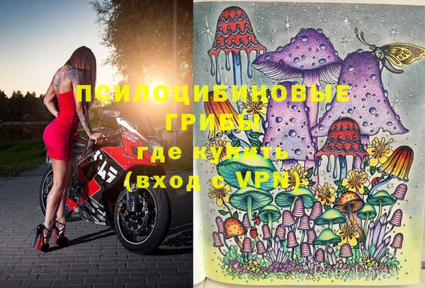 прущие грибы Балахна