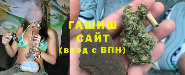 прущие грибы Балахна